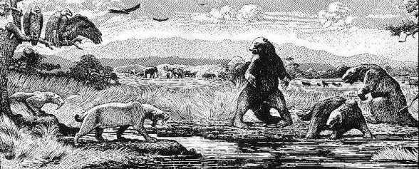 The tar pit containing the bones of many powerful beasts, trapped helplessly by the sticky tar of the software crisis